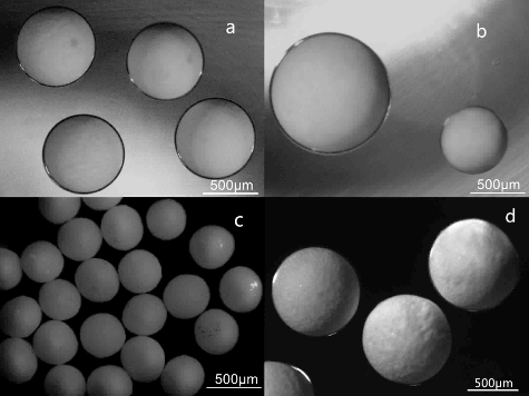 Figure 3. Optical micrographs of the microspheres: (a) Li2TiO3 droplets produced by the capillary-based microfluidic device (flow rate of continuous phase: 150 µL min−1, flow rate of dispersed phase: 5 µL min−1); (b) the biggest Li2TiO3 droplet (flow rate of continuous phase: 150 µL min−1, flow rate of dispersed phase: 10 µL min−1) and smallest droplet (flow rate of continuous phase: 180 µL min−1, flow rate of dispersed phase: 1 µL min−1); (c) small Li2TiO3 pebbles after sintering at 950 °C for 3 hours; (d) big Li2TiO3 pebbles after sintering at 950 °C for 3 hours.