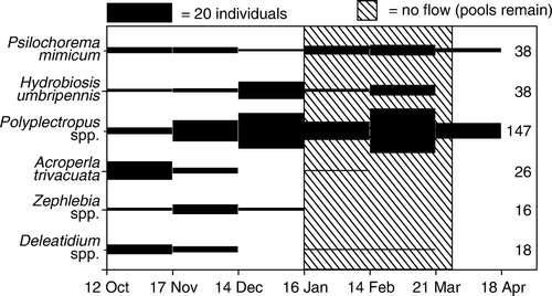 Figure 4  Numbers of adult insects caught in Malaise traps at all intermittent sites (INT1–3) between 12 October 2005 and 18 April 2006. Bar height is proportional to numbers of adults caught. Numbers to the right of the bars indicate total numbers of each taxon.