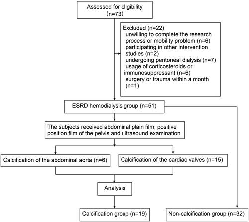 Figure 8. Flowchart of the trial describing the participant selection process.