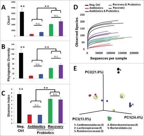 Figure 3. Impact of antibiotic treatment and probiotic supplementation on microbial diversity in the mouse intestine. Diversity analysis utilized the QIIME pipeline. Alpha diversity was determined based on rarefied analysis of A) Chao1, B) Phylogenetic diversity, C) Shannon index, and D) Observed species abundance. Standard deviations among group members are provided. Intergroup comparisons were made based on principal coordinate analysis of unweighted UniFrac distances (E). In the biplot, the 5 most prevalent taxa driving the differences in the PCoA are provided (F = family level, O = order level). Taxon specific spheres vary in size based on mean relative abundance in all groups. (** = p < 0.01)