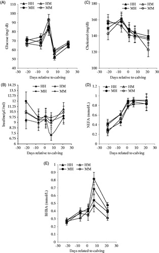 Figure 2. Effects of close-up BCS and previous milk yield (305-DIM) on plasma metabolites, and insulin in Holstein dairy cows during transition period (days −21 to 21). MM: medium BCS and moderate milk yield; MH: medium BCS and high milk yield; HM: high BCS and moderate milk yield; HH: high BCS and high milk yield.