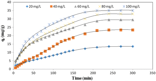 Figure 4. Effect of initial dye concentration on the adsorption of CR dye by CPHAA at 50 °C.