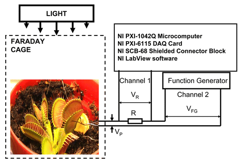 Figure 1. Block diagram of the data acquisition and electrostimulation system.