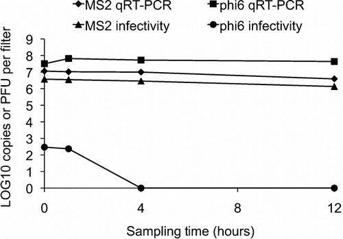 FIG. 3 Total RNA or infectious bacterial viruses recovered after passing clean air at 2 L/min through closed-face cassettes containing PC filters previously exposed to a 20 min chamber aerosolization with the two test viruses.