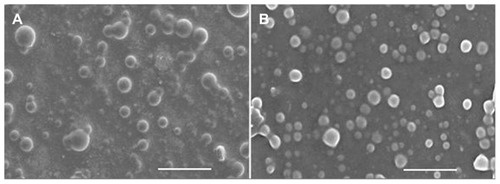 Figure 3 Scanning electron microscopic photographs of daidzein-loaded phospholipid complexes poly(lactic-co-glycolic) acid nanoparticles (A) and daidzein-loaded cyclodextrin inclusion complexes poly(lactic-co-glycolic) acid nanoparticles (B).Note: Bar represents 1 μm (80,000× magnification).