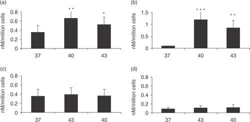 Figure 1. HSP70 release from prostate carcinoma cells at 40°C and 43°C. HSP70 release following heat shock treatment. 1 × 106 cells per ml PC-3 (a and c) and LNCaP (b and d) cells were incubated at 37°C control group represented by 37 or non-heat shocked cells, 40°C for 6 h represented by 40, and 43°C for 30 min represented by 43. (a) (PC-3) and (b) (LNCaP) represent HSP70 release immediately after heat shock while (c) (PC-3) and (d) (LNCaP) represent HSP70 released 24 h after heat shock. Supernatants were taken and analysed for the presence of HSP70 by ELISA. Statistical analyses compared conditions 37 vs. 43 (*p < 0.05) (a) and 37 vs. 40 (a) and 37 vs. 43 (b) (**p < 0.01) and 37 vs. 40 (***p < 0.001) (b). Data represents the mean ± SD of three independent experiments.