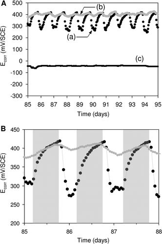 Figure 8. Light-dependent evolution of Ecorr on SS samples. Panel (A). Potential variation recorded in (a) natural exposure conditions (dam-water), (b) the same without light and (c) the same after addition of filter. Panel (B). Detailed Ecorr variation in a short period: the grey shaded regions indicate the night periods. Reproduced and adapted with permission from Liao et al. (Citation2010).