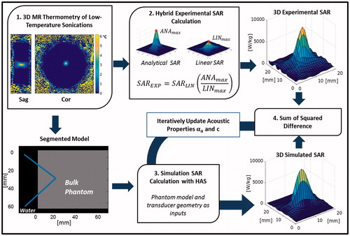 Figure 1. Flow chart of the acoustic property estimation procedure beginning with (1) the acquisition of 3D MRTI data of the sonication, which is used to (2) calculate the 3D experimental SAR pattern. The segmented model, generated from magnitude images, is then used to (3) generate a simulated SAR pattern with the Hybrid Angular Spectrum (HAS) method. (4) The sum of squared difference is then calculated between the experimental and simulated patterns, and the HAS simulation is updated with αa and c until the difference is minimised.
