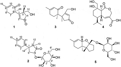 Figure 1. Structures of trihypodione A (1), dunnianoside B (2), 3, 4 and 5.