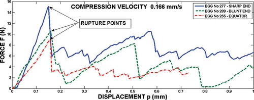 FIGURE 2 Experimental records force–displacement.