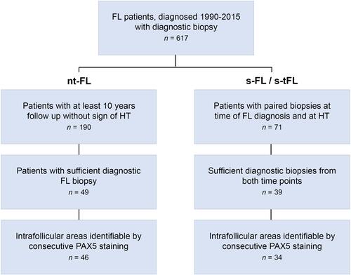 Figure 1 Consort diagram of the cohort. Pathology reports of all diagnostic biopsies for patients diagnosed with FL at the Department of Hematology, Aarhus University Hospital, Denmark between 1990–2015 were reviewed. Patients were categorized as non-transforming FL (nt-FL) if they showed no sign of HT in a follow-up period of at least 10 years. Patients were categorized as subsequently transforming FL (s-FL) if the patient presented with a primary diagnosis of FL grade I–IIIA (s-FL) and subsequently, at least 6 months later, with a biopsy of histologically transformed FL (s-tFL). Patients were included when sufficient FFPE tumor tissue were available from an excision or large needle biopsy. Only s-FL/s-tFL patients with a complete pair of biopsies from time of initial FL diagnosis and time of HT were included in the transformed sub-cohort. If necessary, to complete a pair, archived FFPE tissue were collected from other lymphoma treating centers in the central and southern region of Jutland, Denmark. All biopsies were reviewed and classified according to the 2017 update of the WHO Classification of Tumours of the Haematopoietic and Lymphoid Tissues.Citation1 Furthermore, samples were included if a consecutive parallel tissue section stained with PAX5 were able to identify B cell areas, and thus intrafollicular areas, within the biopsy section. In total, we included samples from 46 nt-FL patients with no subsequent transformation, and 34 patients with s-FL/s-tFL biopsy pairs.