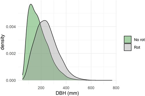 Figure 2. Density plot of diameters at breast height (DBH) of trees without butt rot and trees with butt rot. Rotten and non-rotten are here considered different populations.