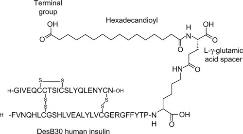 Figure 1 Schematic representation of insulin degludec. DesB30 human insulin is acylated at the ε-amino group of LysineB29 with hexadecanoic acid via a γ-L-glutamic acid linker.