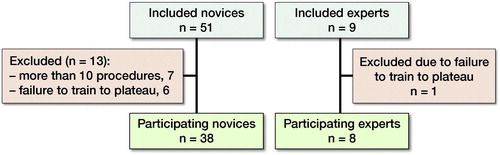 Figure 1. Participants inclusions and exclusions.