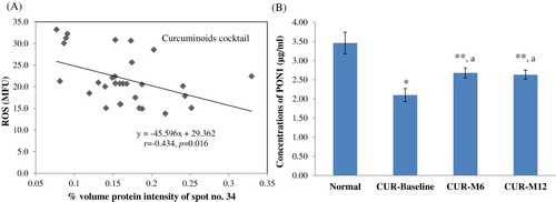 Figure 2. (A) Correlations between paraoxonase/arylesterase 1 intensities and blood reactive oxygen species; (B) The ELISA results of paraoxonase/arylesterase 1 in normal subjects and patients treated with curcuminoids antioxidant cocktail. * p < .001 compared to normal; ** p < .05 compared to normal; a p < .05 compared to baseline.