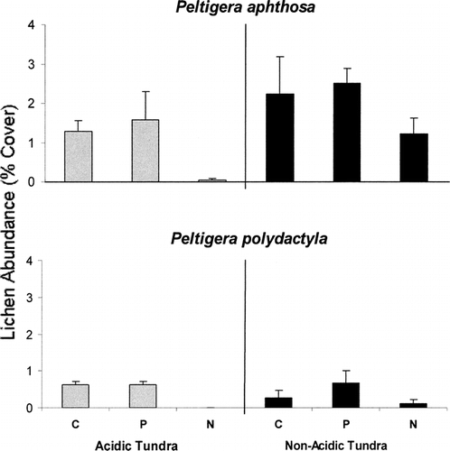 FIGURE 1. Percent cover for Peltigera aphthosa and P. polydactyla in control (C), phosphorus (P), and nitrogen (N) treatments on acidic and non-acidic tundra. Quadrats were averaged within plots, and data presented are plot means for each treatment, with standard error bars (n = 4 for acidic tundra or 3 for non-acidic tundra)