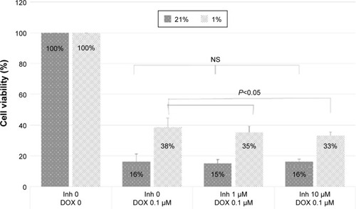 Figure 3 Effect of the combined CA IX inhibitor–doxorubicin treatment on cell viability.