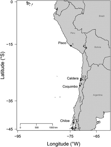 FIGURE 1. Location map of Aetomylaeus-bearing sites in the Temperate Pacific coast of South America (TPSA). 1, Sacaco; 2, Caldera; 3, Mina Fosforita; 4, Bahía Salado; 5, Punta Chacos; 6, Quebrada Honda; 7, Lemuy.
