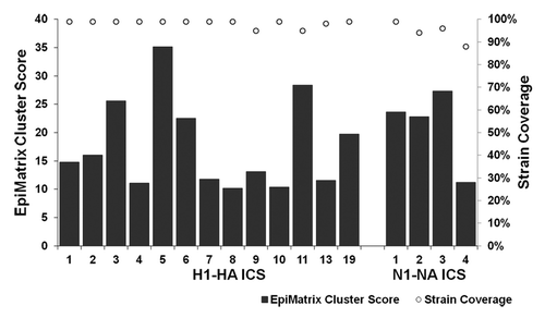 Figure 3. Immunogenic consensus sequence influenza H1N1 strain coverage and HLA binding potential. ICS construction yielded 13 H1-HA and four N1-NA sequences with > 85% coverage of input proteins and EpiMatrix cluster scores > 10, representing significant HLA binding potential. Bars represent EpiMatrix cluster score and open circles percent strain coverage.