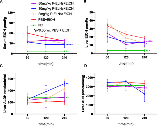 Figure 3 Evaluation of the optimal pre-oral dose of P-ELNs (0 [PBS], 2, 10, and 50 mg/(kg.bw)) in ethanol-exposed mice. Post-alcohol gavage, samples were collected at 60, 120, and 240 minutes for serum (A) and hepatic alcohol content (B), as well as hepatic ALDH (C) and ADH enzyme activity (D) analysis (n=5, *p<0.05, **p<0.01, ***p<0.001 vs PBS + EtOH).