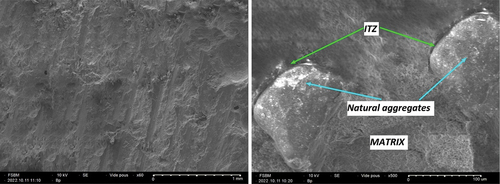 Figure 13a. Scanning electron microscopy reference cement mortar CM (0).