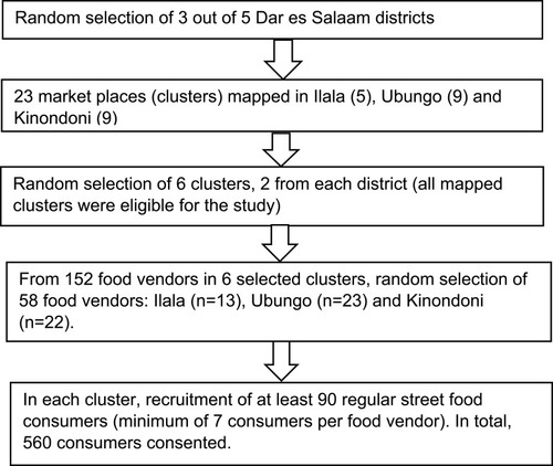 Figure 1 Flow chart of the procedures for the selection of street-food consumers in Dar es Salaam city, Tanzania.