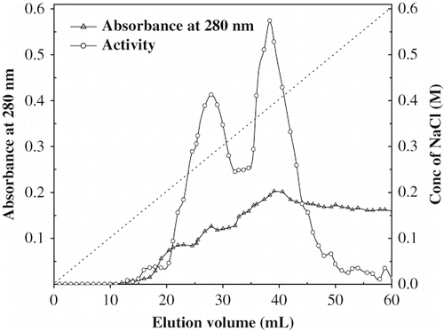 Figure 1 Elution profile of porcine pancreatic alpha amylase on DEAE—cellulose column.