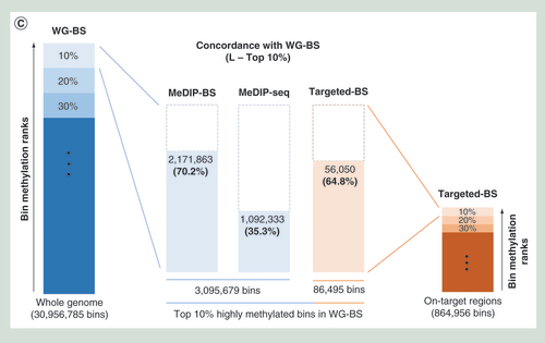 Figure 4.  Comparison of DNA methylation levels among the four different methods.Spearman correlation analysis for L (A) and S (B) samples. The three bisulphite conversion-based methods showed relatively high correlations; however, MeDIP-seq showed very low correlation to the other methods. (C) Concordance with WG-BS. The top 10% most highly methylated bins in the L sample data for each method were compared. MeDIP-BS showed the highest concordance.