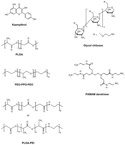 Figure 1 Chemical structures of kaempferol, PLGA, PEO-PPO-PEO, glycol chitosan, PLGA-PEI, and PAMAM dendrimer.Abbreviations: PEO-PPO-PEO, poly(ethylene oxide)-poly(propylene oxide)-poly(ethylene oxide); PLGA, poly(DL-lactic acid-co-glycolic acid); PEI, polyethyleneimine; PAMAM, poly(amidoamine).