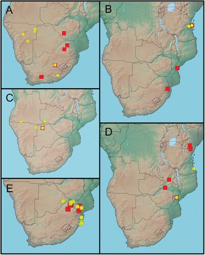 Figure 12. Localities of calls (red squares) and sequences (yellow circles) of southern and eastern African Pyxicephalus species. (A) P. adspersus, (B) P. angusticeps, (C) P. beytelli, (D) P. edulis, (E) P. sp. 1.