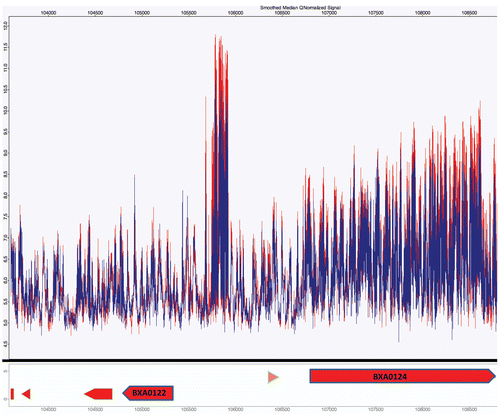 Figure 5 Analysis of small non-coding RNA of strain 34F2ΔluxS compared to strain 34F2 using an Affymetrix tiled array. A select region (between BXA0122 and BXA0124) based on pXO1 from B. anthracis strain A2012, demonstrating transcriptional activity in intergenic regions. Red indicates the transcriptional activity of the parental strain and blue represents strain 34F2ΔluxS.