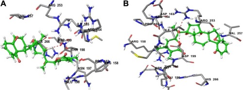 Figure 4 (A) Predicted interactions of CID_301751 with anticancer target enzyme β-tubulin (PDB code 4IHJ) with a docking total score of 5.2417, revealing a H-bond of length 1.8 Å to the binding site pocket residue ASP-199. (B) Predicted interactions of CID_3372729 with the anticancer target enzyme β-tubulin (PDB code 4IHJ) with a docking total score of 4.6965, revealing a H-bond of length 1.9 Å to the binding site pocket residue ASP-199.