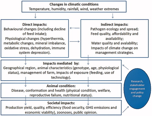 Figure 1. Impacts of climate change on livestock health and pathogens (Özkan et al. Citation2016).