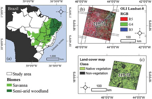 Figure 1. (a) Location of the study area in the state of Minas Gerais (MG), southeastern Brazil. The area is covered by savannas and semi-arid woodlands; (b) False color composite from an OLI/Landsat-8 image from 27 October 2016; (c) Land-cover map showing vegetated and non-vegetated surfaces.