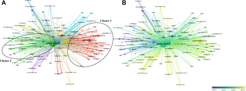 Figure 4 Bibliometric analysis of keywords. (A) Cluster analysis. (B) Timing analysis.