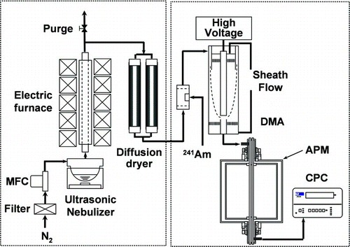 FIG. 1 Schematic diagram of the experimental setup.
