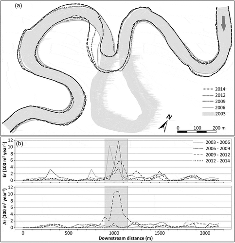 Figure 7. (a) Active channel positions in the studied years. (b) Erosion and accumulation rates for dynamic segment of the Morava River. Whole segment is depicted in Figure 4. Shadow bars show the position of studied meander.