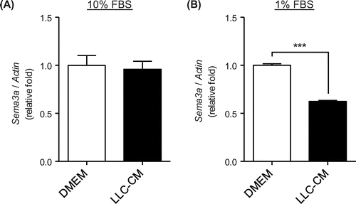 Fig. 1. Lewis lung carcinoma (LLC)-derived conditioned medium (CM) decreased Semaphorin-3a (Sema3a) expression in MC3T3-E1 cells under low-serum culture conditions.