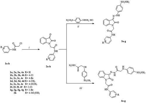 Scheme 1. Synthetic pathway for the target compounds 1–4. Reagents and reaction conditions. (i) Glacial acetic acid, sodium acetate, 0 °C. (ii) MeOH, r.t. (iii) MeOH, glacial acetic acid, r.t.