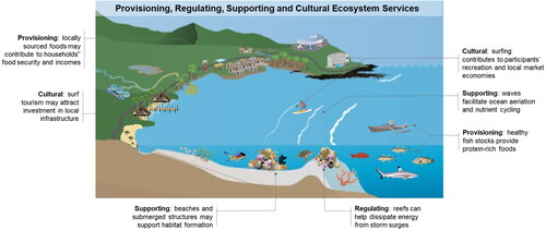 Figure 1. Surfing ecosystem representation depicting examples of cultural, provisioning, regulating and supporting ecosystem services. Diagram created with icons by Dieter Tracey (Diponegoro University Indonesia, University of Queensland), Kim Kraeer, Lucy Van Essen-Fishman, Tracey Saxby, Jane Hawkey, Max Hermanson, Christine Thurber (Integration and Application Network) (ian.umces.edu/media-library).