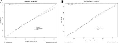 Figure 3 The calibration curves for the prediction of 30 days ICU mortality of critically ill patients with immunocompromise in the training set (A) and validation set (B).