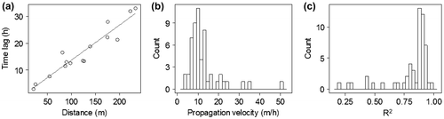 Figure 3. (a) Time lags at which the maximum correlation occurred for a single flood event between the river stage and the groundwater level time series, in relation to the distance from the river bank where the groundwater was measured for all piezometers (n = 15) of the study site. The inverse of the slope represents the propagation velocity. (b) Distribution of propagation velocities for the 54 flood events as computed from the relationship between the time lag of rxy_max and distance from the river bank. (c) Distribution of the coefficients of determination (R2) from the linear relationship between the time lag of rxy_max and the distance from the river bank for the 54 flood events.