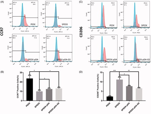 Figure 5. (A, C) Representative images of surface markers (CCR7 and CD206) of RAW264.7 analyzed using flow cytometry, and (B, D) the percentages of CCR7- or CD206-positive cells on PEEK, SPEEK, SPEEK–pDA, and SPEEK–pDA–GS, respectively. (n = 3, * p < .05, ** p < .01, and *** p < .001).