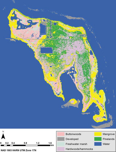 Figure 15. The classified image of No Name Key, Florida with the best accuracy for the 2017 NAIP stacked images. The best classification accuracy for the NAIP stacked image was achieved when using either the original or the normalized bands in the Support Vector Machine (SVM) classification with the new parameter values from García et al. (Citation2011) and applying a 7 × 7 majority filter. The above figure is the SVM classified image of the 7 × 7 majority-filtered 2017 NAIP stacked image with the original bands. It used the new parameter values from García et al. (Citation2011)