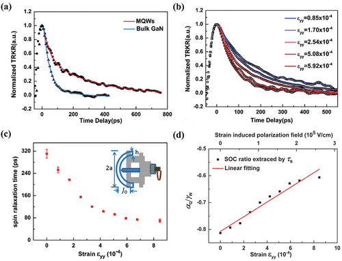 Figure 12. (a) The TRKR results of InGaN/GaN multi quantum wells and bulk GaN without external strain. (b) The TRKR signals of InGaN/GaN multi quantum wells under external strains. (c) The extracted Ʈs of InGaN/GaN multi quantum wells under various strains. Insets show the equipment used to apply external uniaxial strain. (d) The extracted ratios vary as a function of the external strain and polarization electric field, and the red line shows the linear fitting [Citation51].