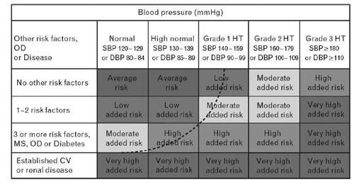 Figure 1 Stratification of CV risk into four categories.Low, moderate, high and very high risk refer to 10-year risk of a CV fatal or non-fatal event. The term “added” indicates that in all categories risk is greater than average. The dashed line indicates how definition of hypertension may be variable, depending on the level of total CV risk.