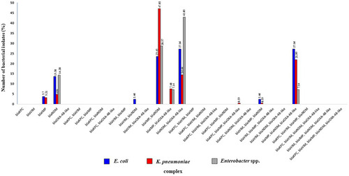 Figure 3 Percentage of carbapenemase-encoding genes among carbapenemase-producing carbapenem-resistant Enterobacterales, based on PCR analysis.