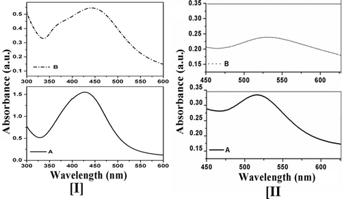Figure 1. UV–vis spectrum of (I) AgNPs and (II) AuNPs obtained from (A) aqueous and (B) methanolic extracts of D. biflorus.