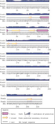 Figure 3. Secondary structure of DAZL gene showing alpha sheet, beta helix, and coil.