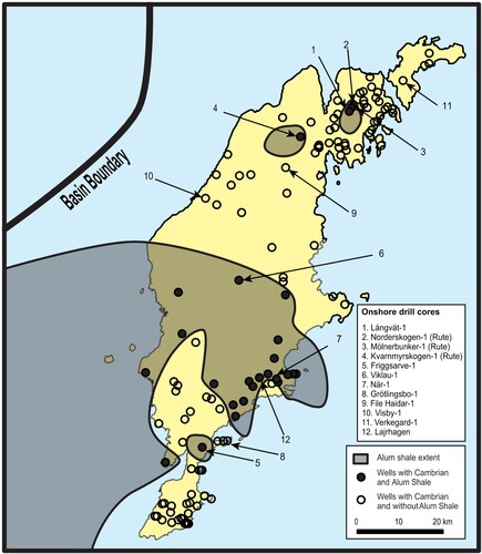 Figure 4. The extent of the ASF in the Gotland area is shown by the grey area (unpublished internal reports, Svenska Petroleum Exploration AB). Downfaulted beds of ASF in the northern part of Gotland are found in the Långvät-1, Norderskogen-1, Mölnerbunker-1 and Kvarnmyrskogen-1 well cores. The Friggsarve-1 core (5 on the map), is another isolated area of ASF on southern Gotland. Well cores mentioned in the text are 6, Viklau-1; 7, När-1; 8, Grötlingbo-1; 9, File Haidar-1; 10, Visby-1; 11, Verkegard-1 and 12, Lajrhagen-1. For the thickness and depths of the ASF in the cores see Tables 1 and 2.